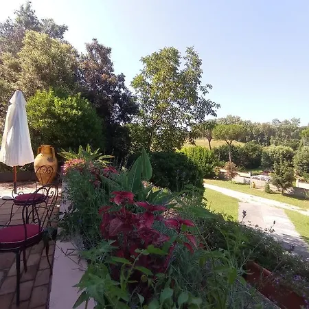 The Olive Grove Roma Guest House Exterior photo